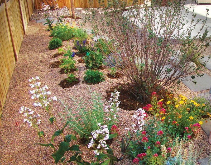 Drought resistant garden