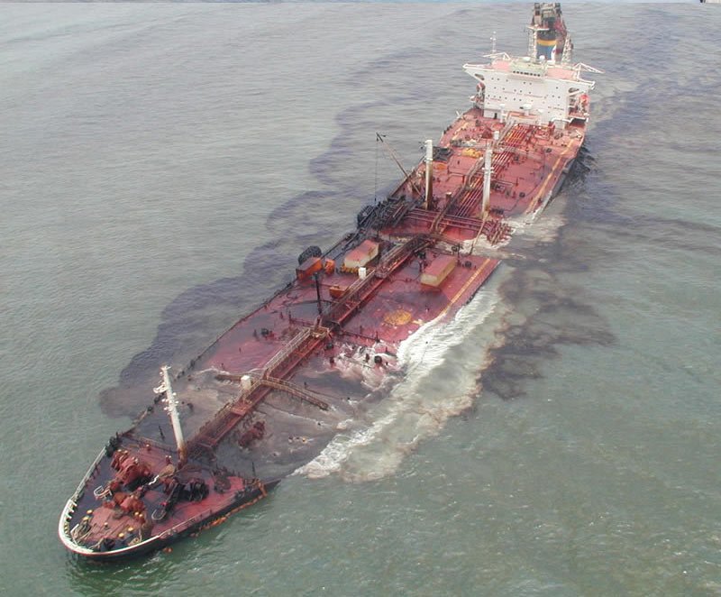 Oil leakage during oil tanker accidents is a type of ocean pollution