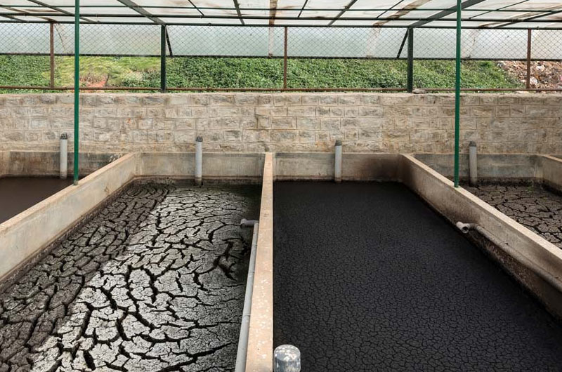 sludge in wastewater treatment