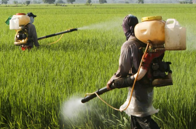 excessive use of insecticides and pesticides