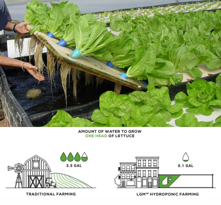 we can benefit from Hydroponics farming, It can conserve 75% of water compared to tradition farming